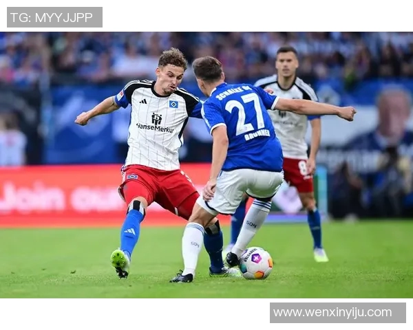 汉堡主场与霍芬海姆战平，双方互不相让势均力敌